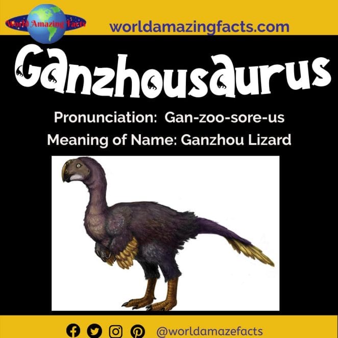 Ganzhousaurus dinosaur