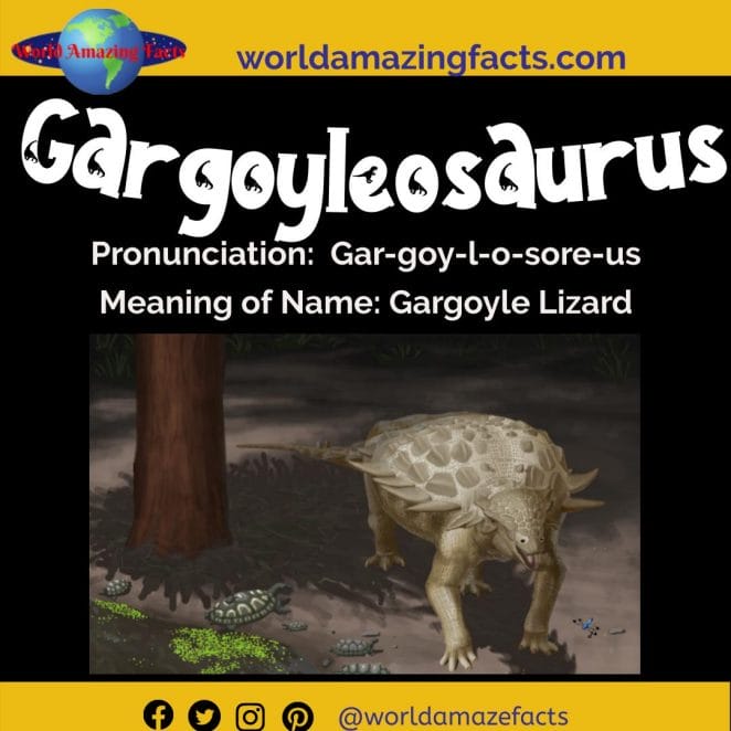 Gargoyleosaurus dinosaur