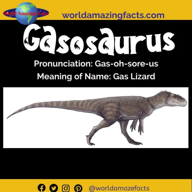 Gasosaurus dinosaur