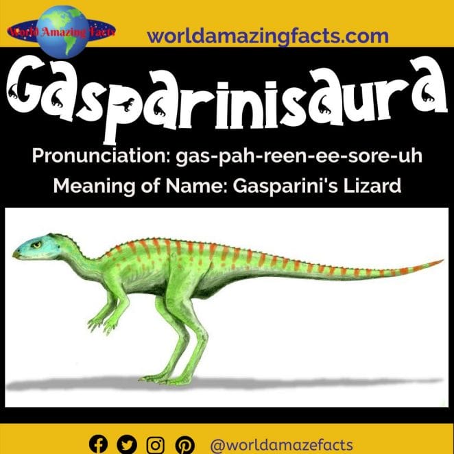 Gasparinisaura dinosaur