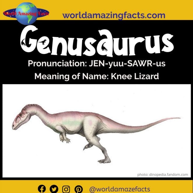 Genusaurus dinosaur