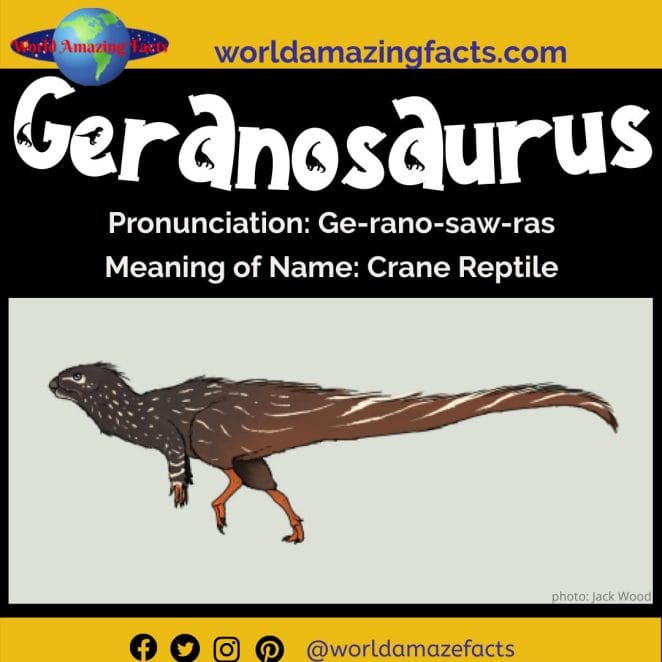 Geranosaurus dinosaur