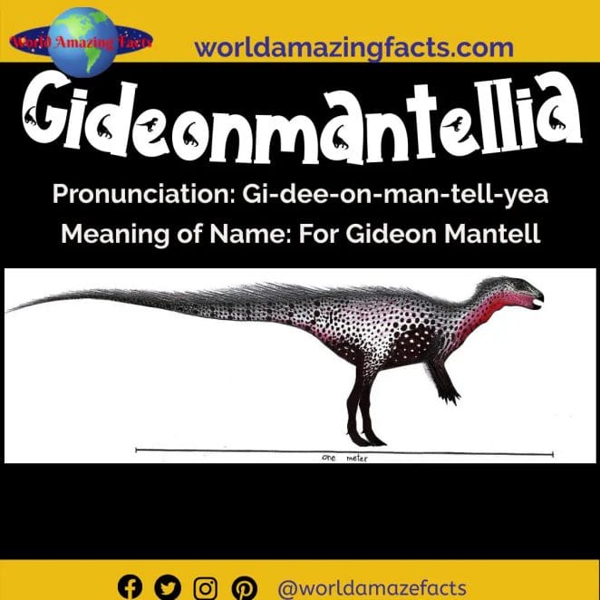 Gideonmantellia dinosaur