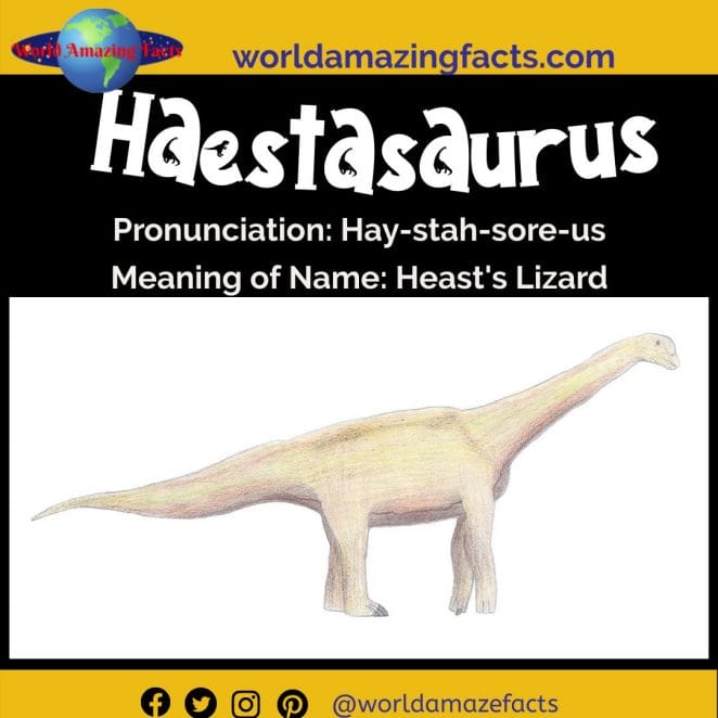 Haestasaurus dinosaur