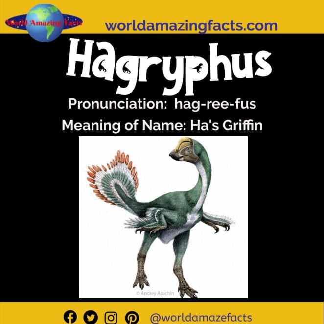 Hagryphus dinosaur