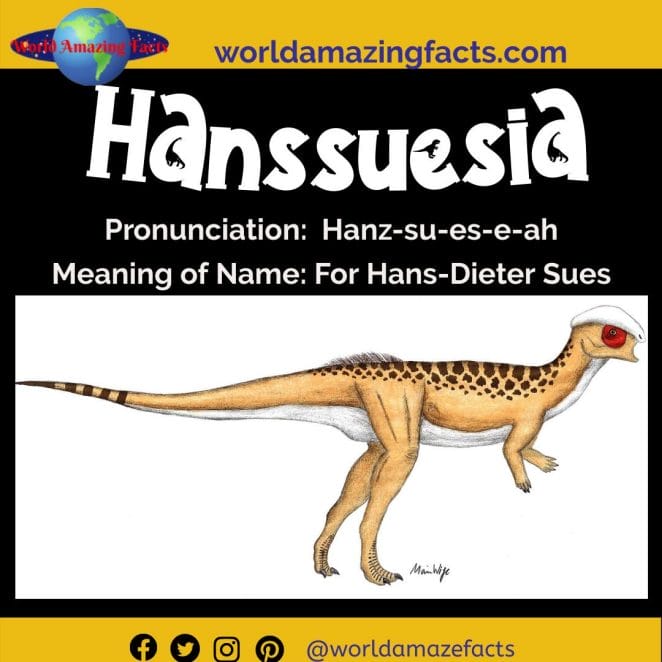 Hanssuesia dinosaur