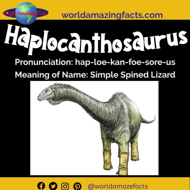 Haplocanthosaurus dinosaur