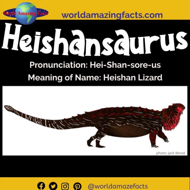 Heishansaurus dinosaur
