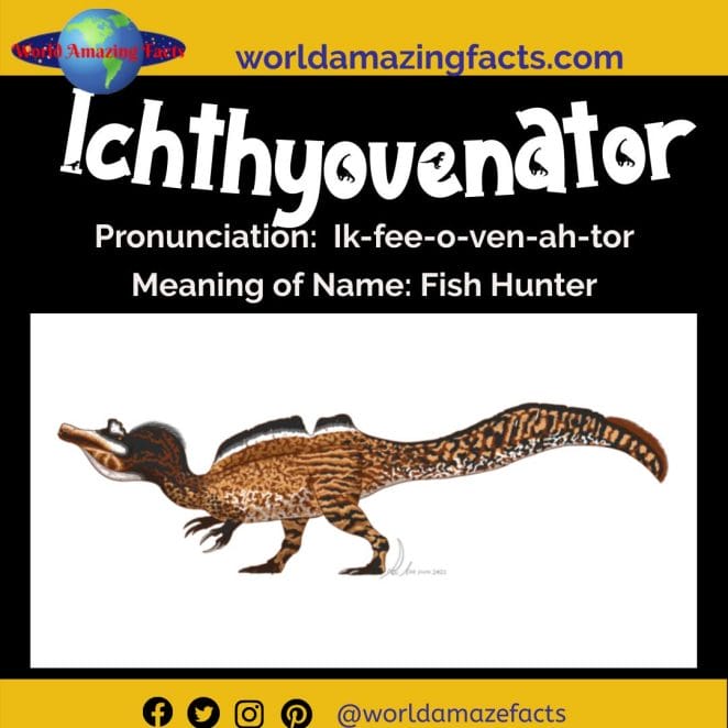 Ichthyovenator dinosaur