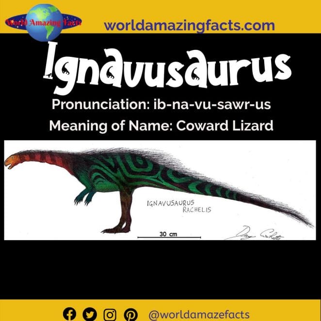 Ignavusaurus dinosaur
