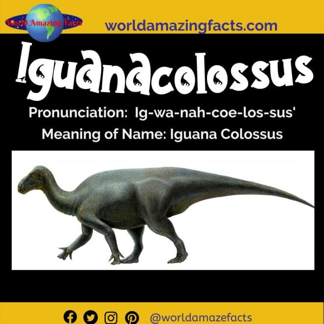 Iguanacolossus dinosaur