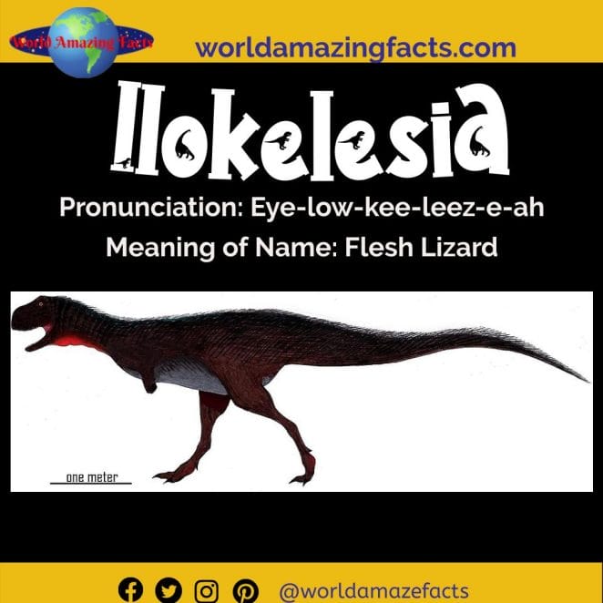 Ilokelesia dinosaur