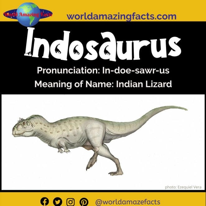 Indosaurus dinosaur