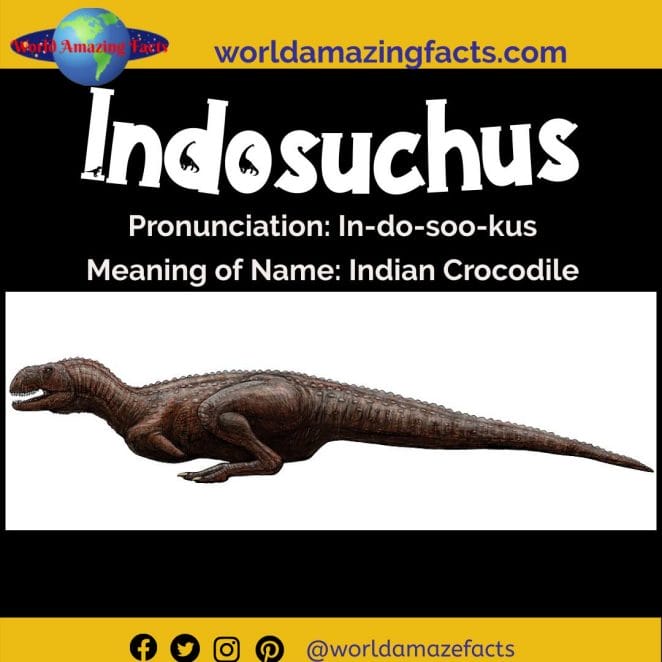 Indosuchus dinosaur