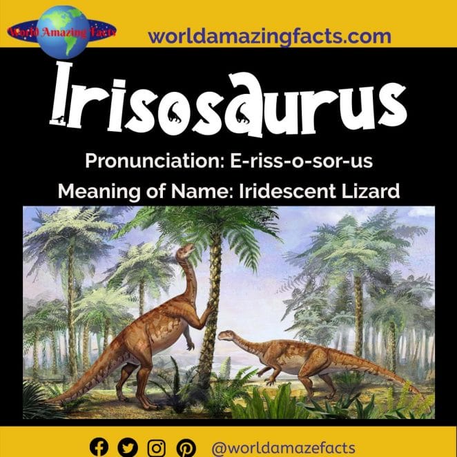 Irisosaurus dinosaur