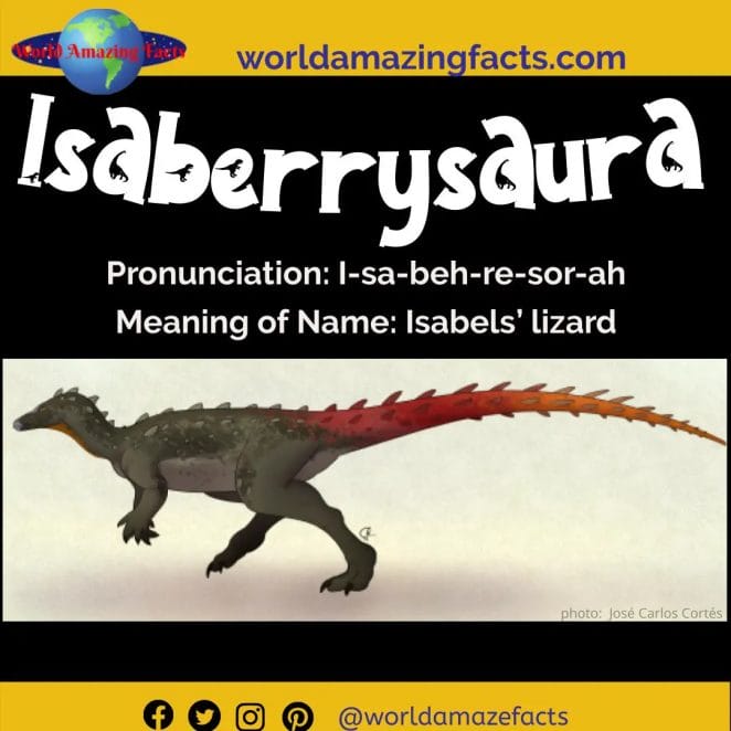 Isaberrysaura dinosaur