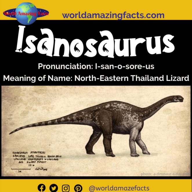 Isanosaurus dinosaur