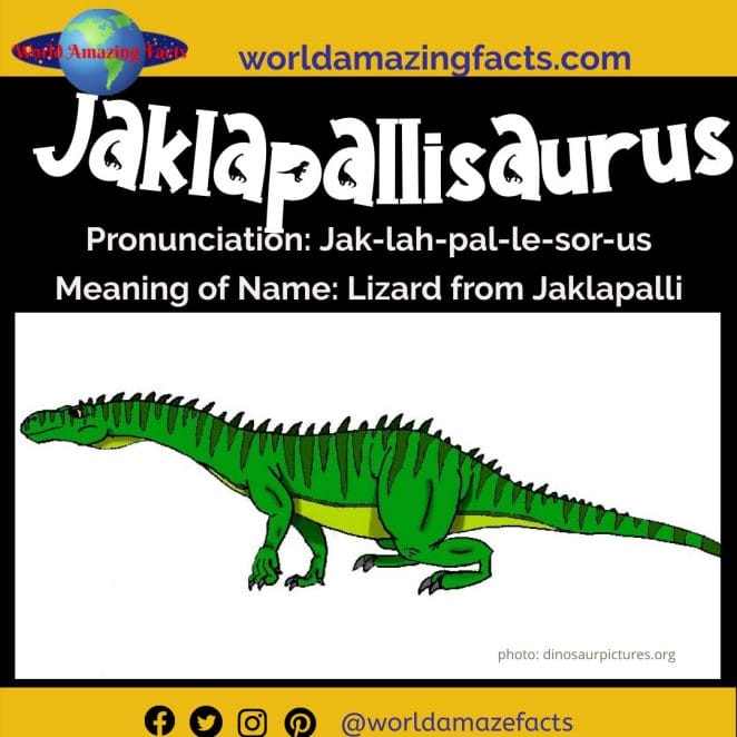 Jaklapallisaurus dinosaur