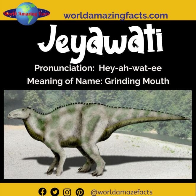 Jeyawati dinosaur