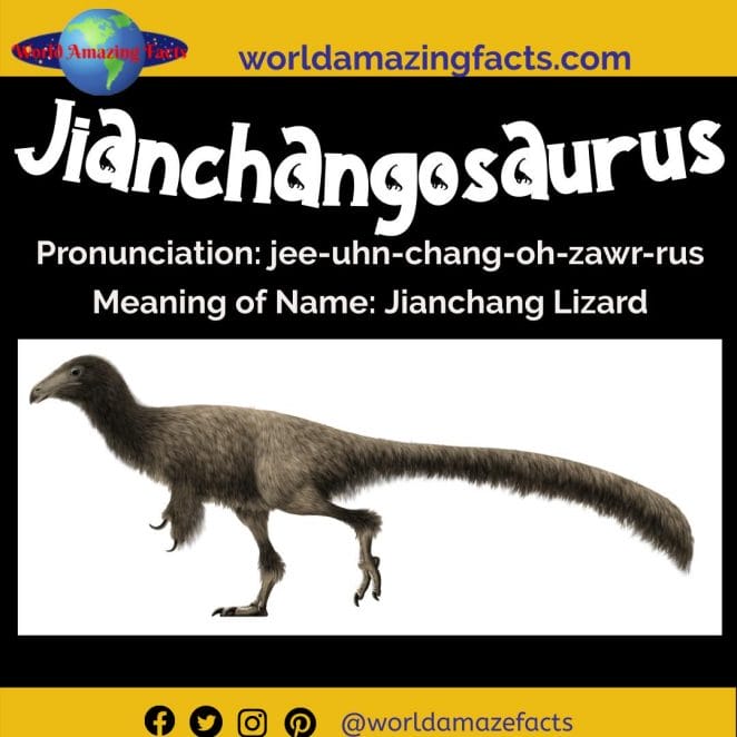 Jianchangosaurus dinosaur