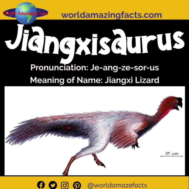 Jiangxisaurus dinosaur