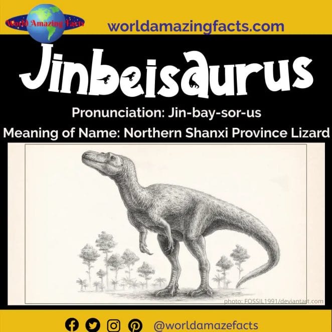 Jinbeisaurus dinosaur