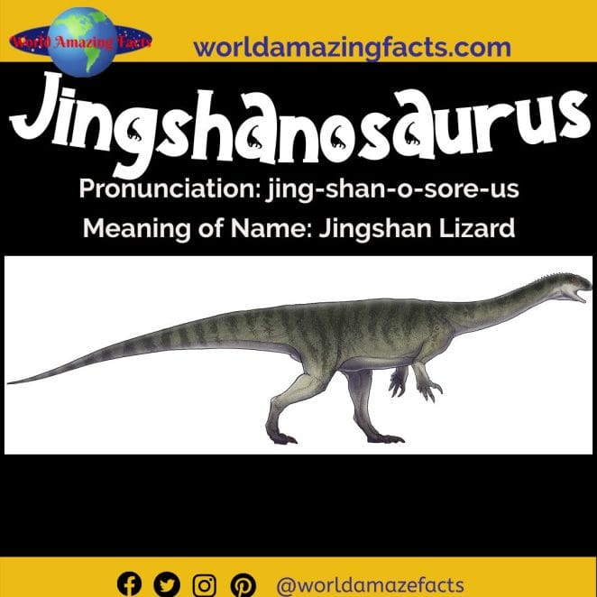 Jingshanosaurus dinosaur