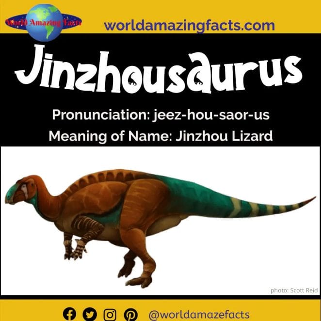 Jinzhousaurus dinosaur