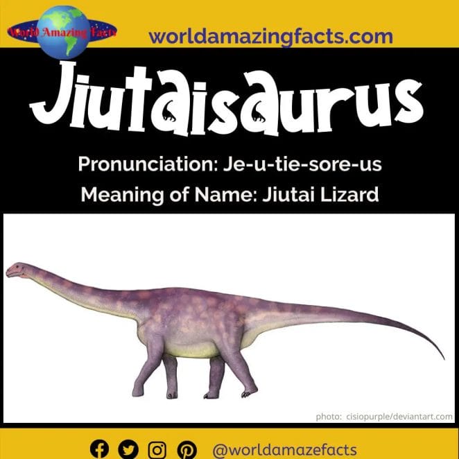 Jiutaisaurus dinosaur
