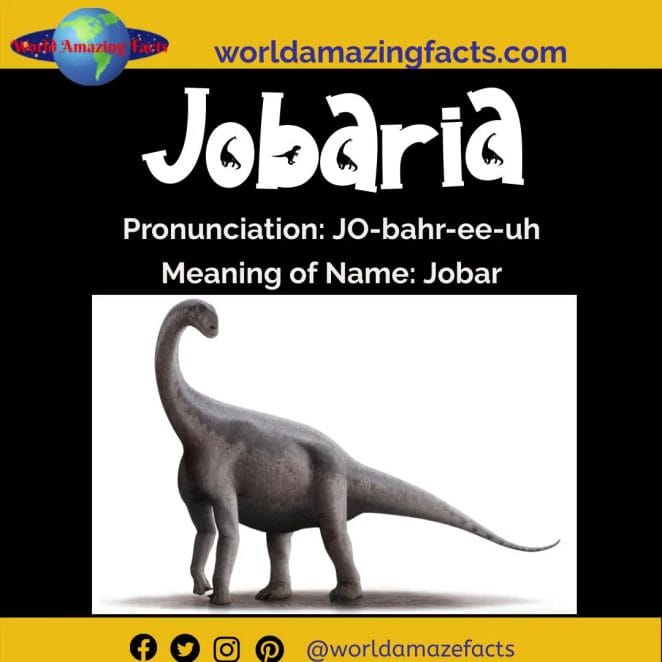 Jobaria dinosaur