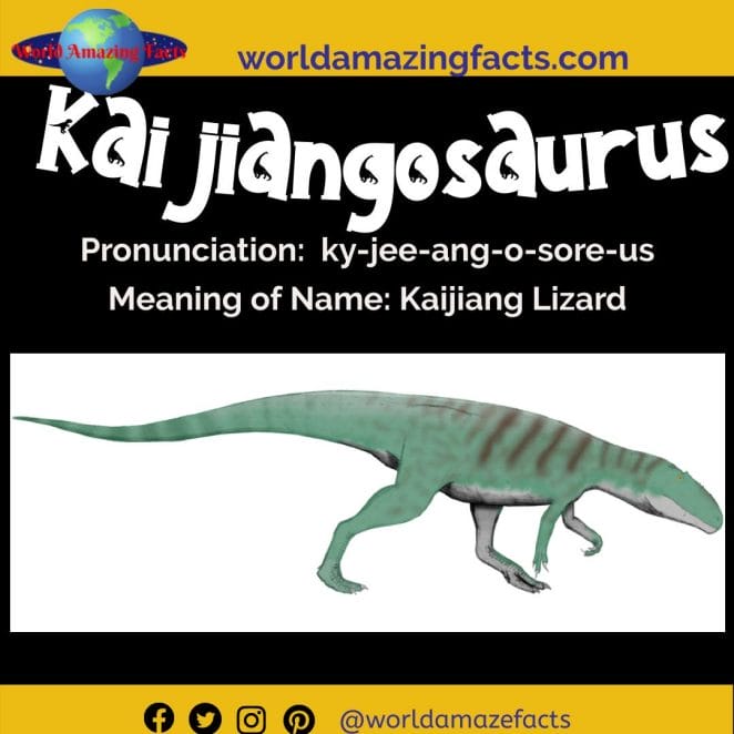 Kaijiangosaurus dinosaur