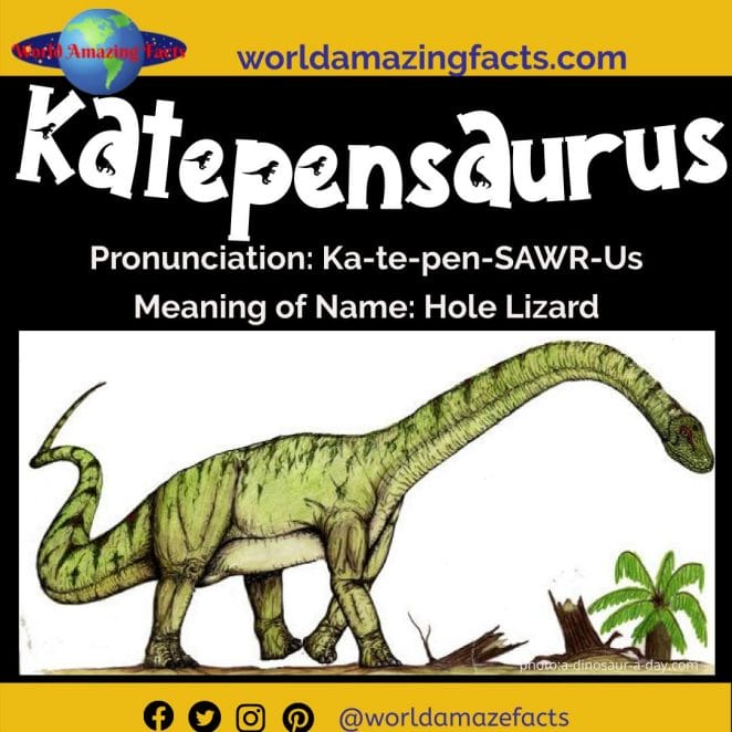 Katepensaurus dinosaur