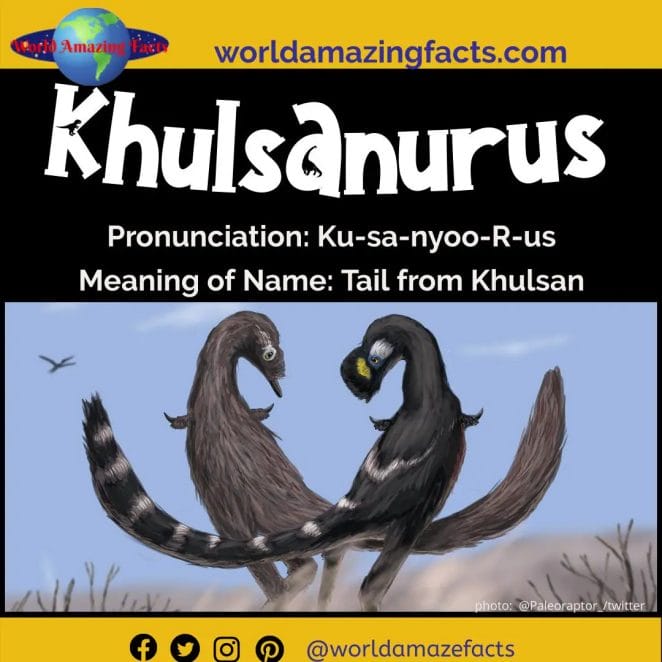 Khulsanurus dinosaur