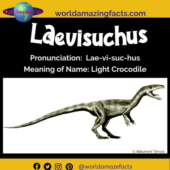 Laevisuchus dinosaur