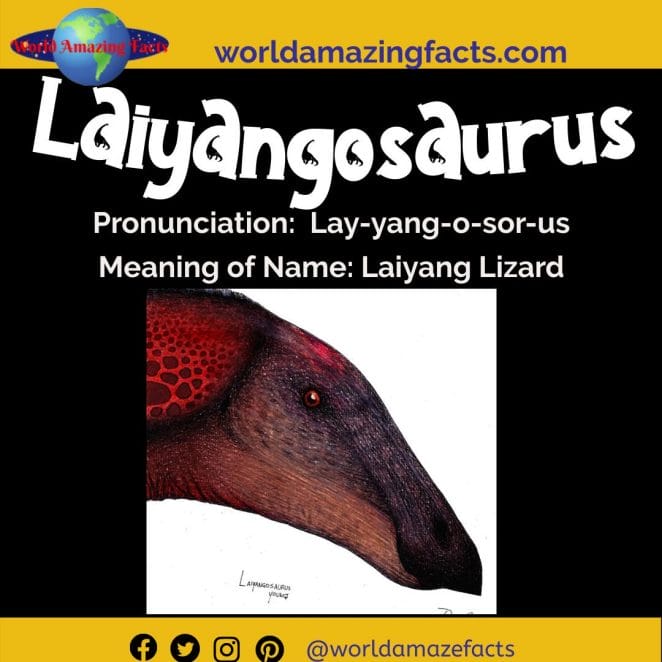 Laiyangosaurus dinosaur