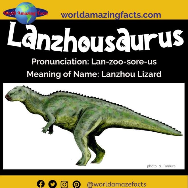 Lanzhousaurus dinosaur