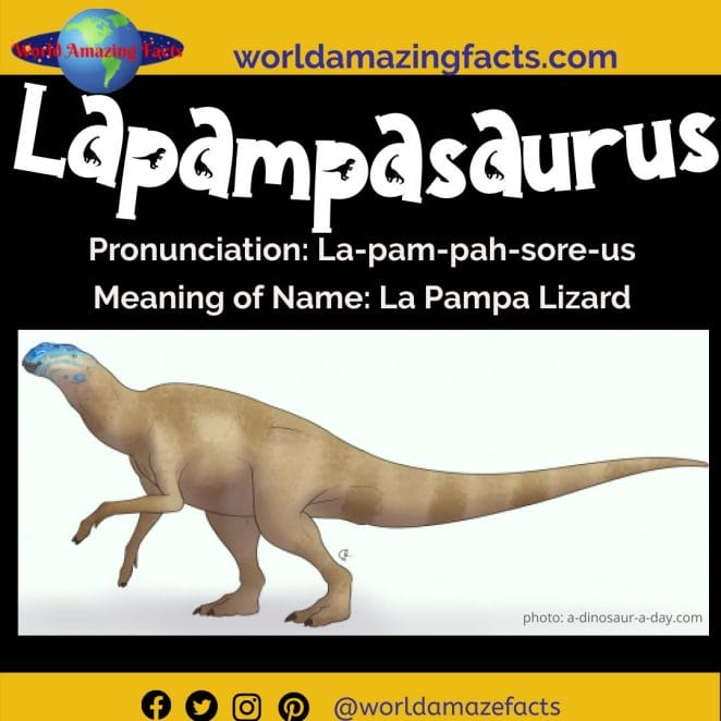 Lapampasaurus dinosaur