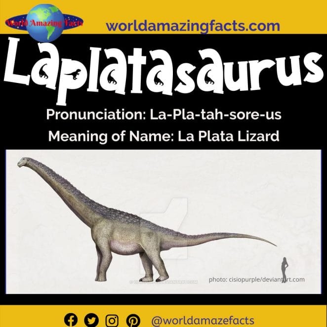 Laplatasaurus dinosaur