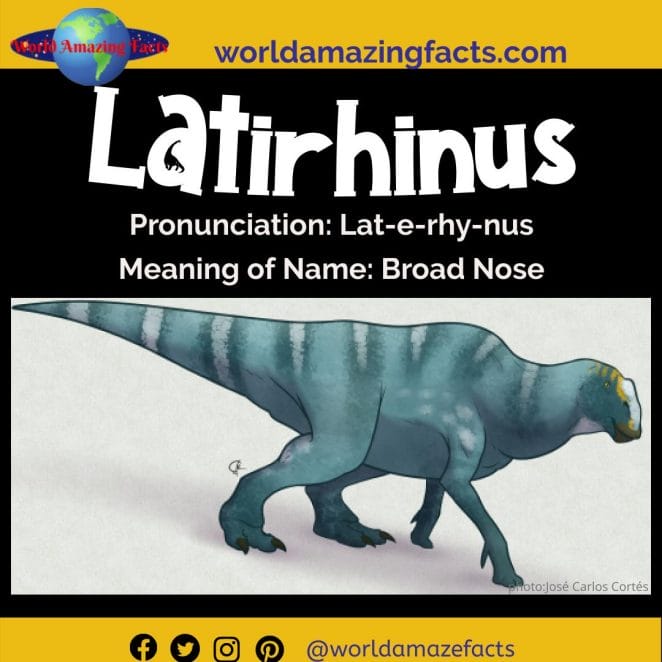 Latirhinus dinosaur