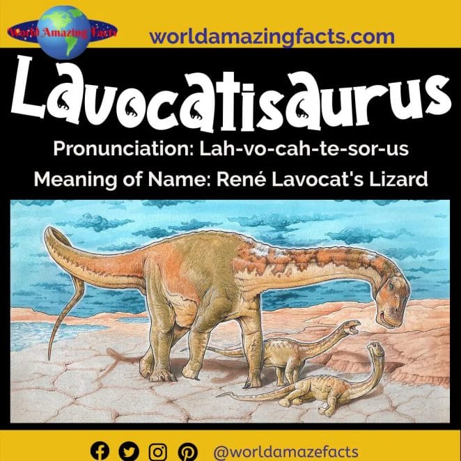 Lavocatisaurus dinosaur