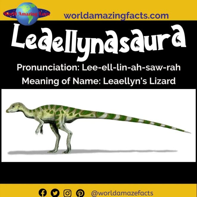 Leaellynasaura dinosaur