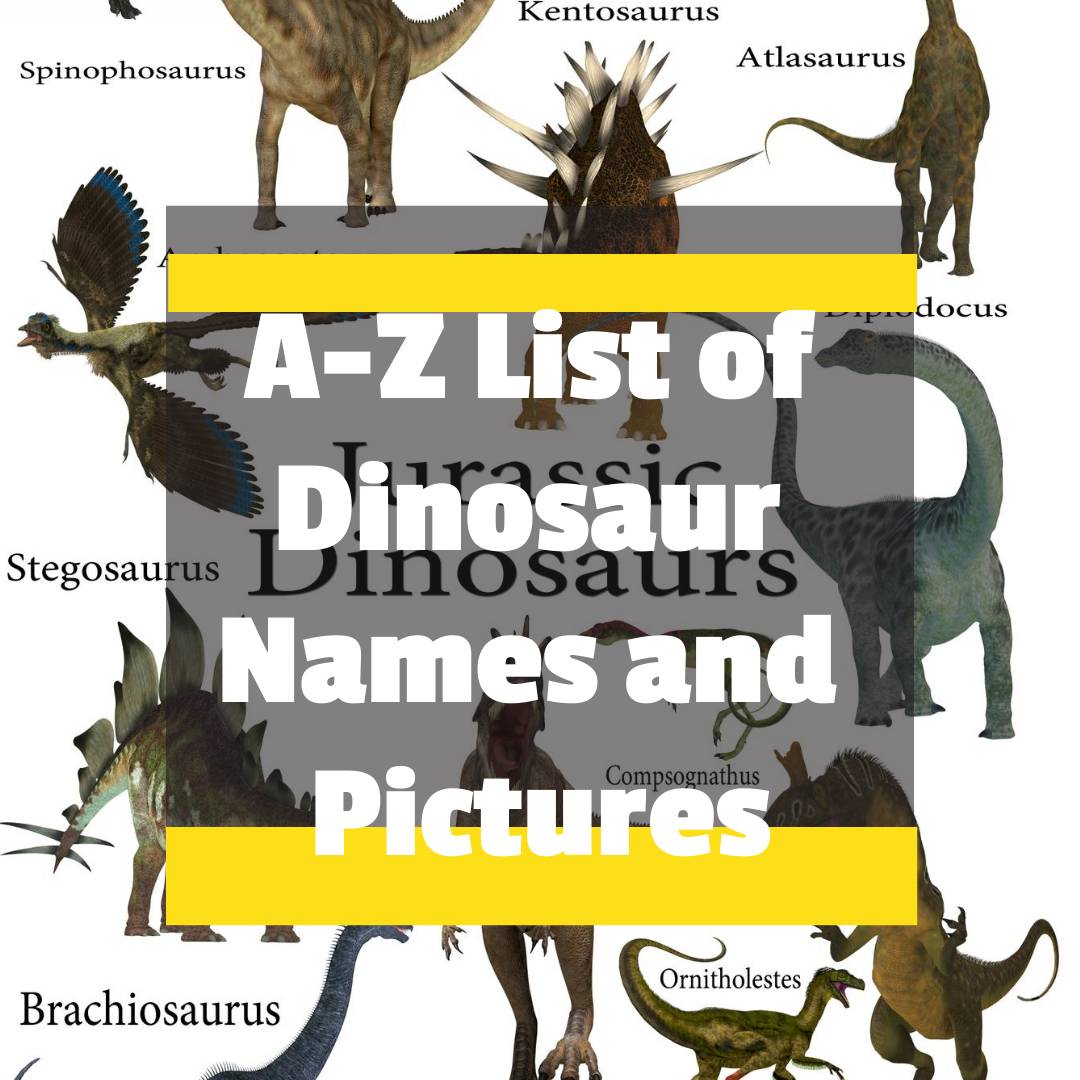 all-dinosaur-names-archives-dinosaur-facts-for-kids
