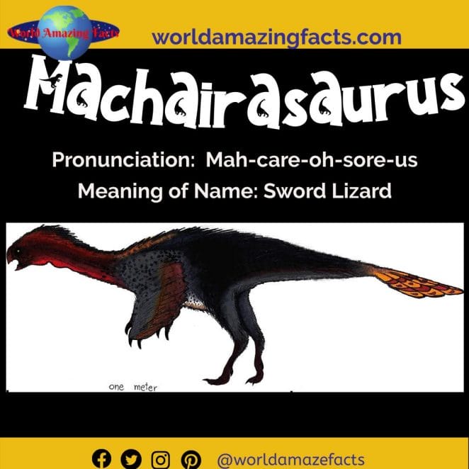 Machairasaurus dinosaur