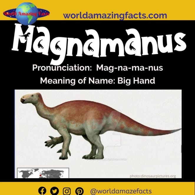 Magnamanus dinosaur