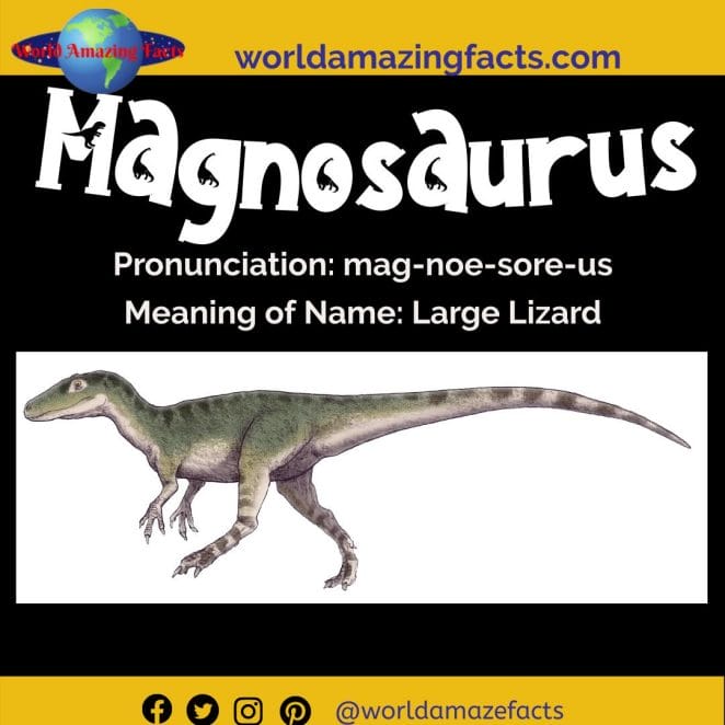 Magnosaurus dinosaur