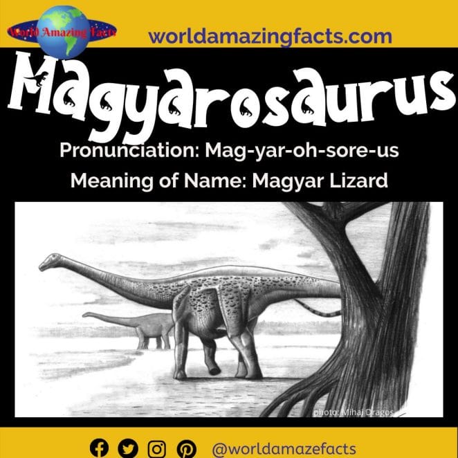 Magyarosaurus dinosaur