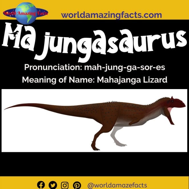Majungasaurus dinosaur