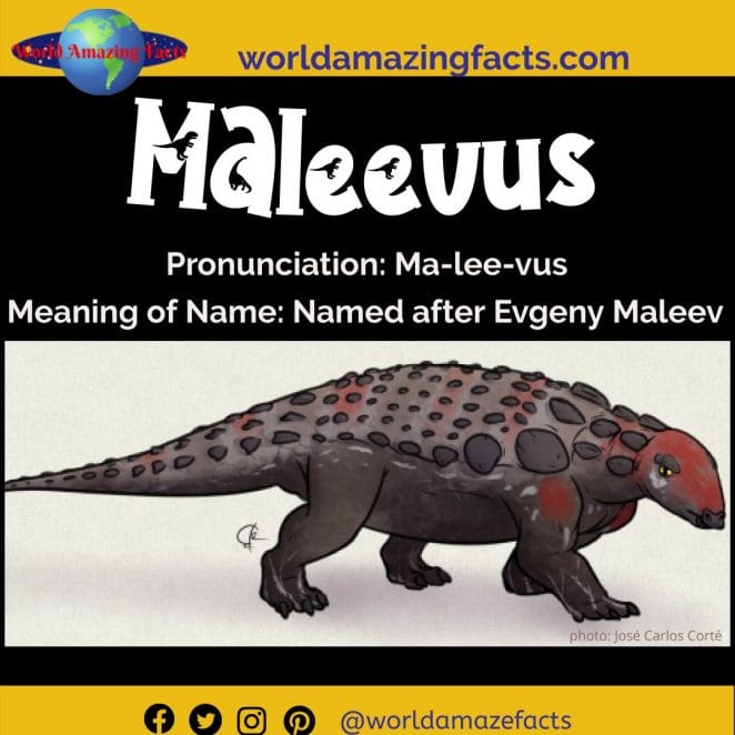 Maleevus dinosaur