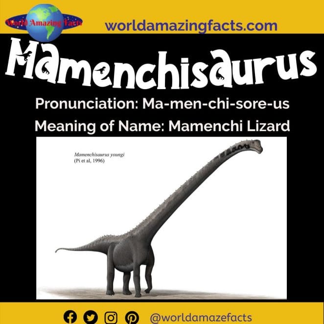 Mamenchisaurus dinosaur