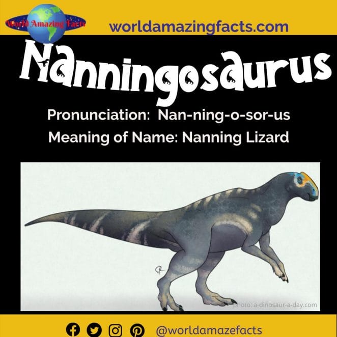 Nanningosaurus dinosaur